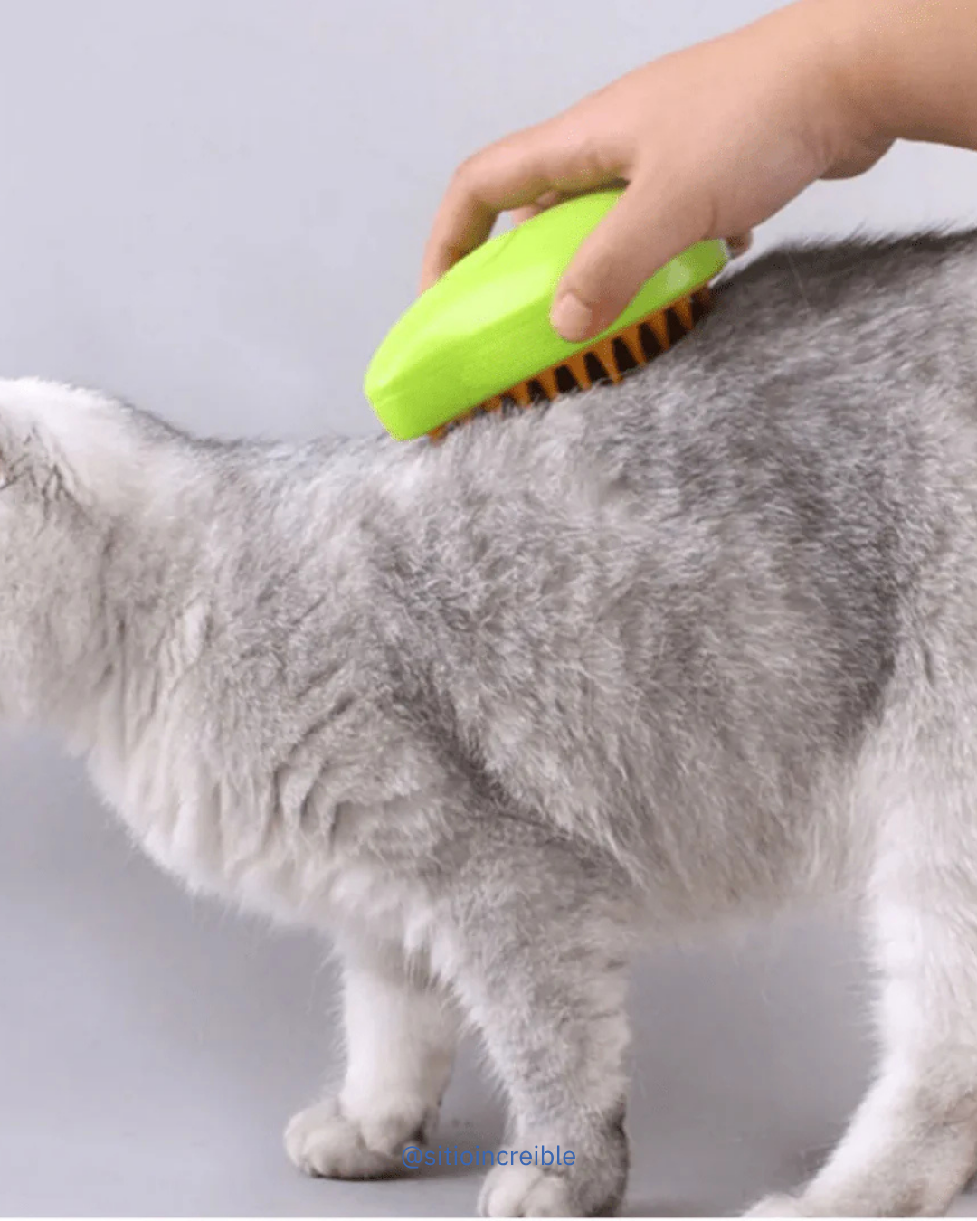 CEPILLO DE MASCOTAS CON VAPOR