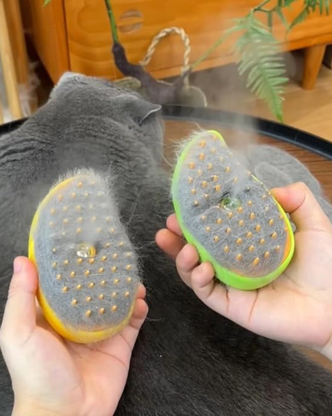 CEPILLO DE MASCOTAS CON VAPOR